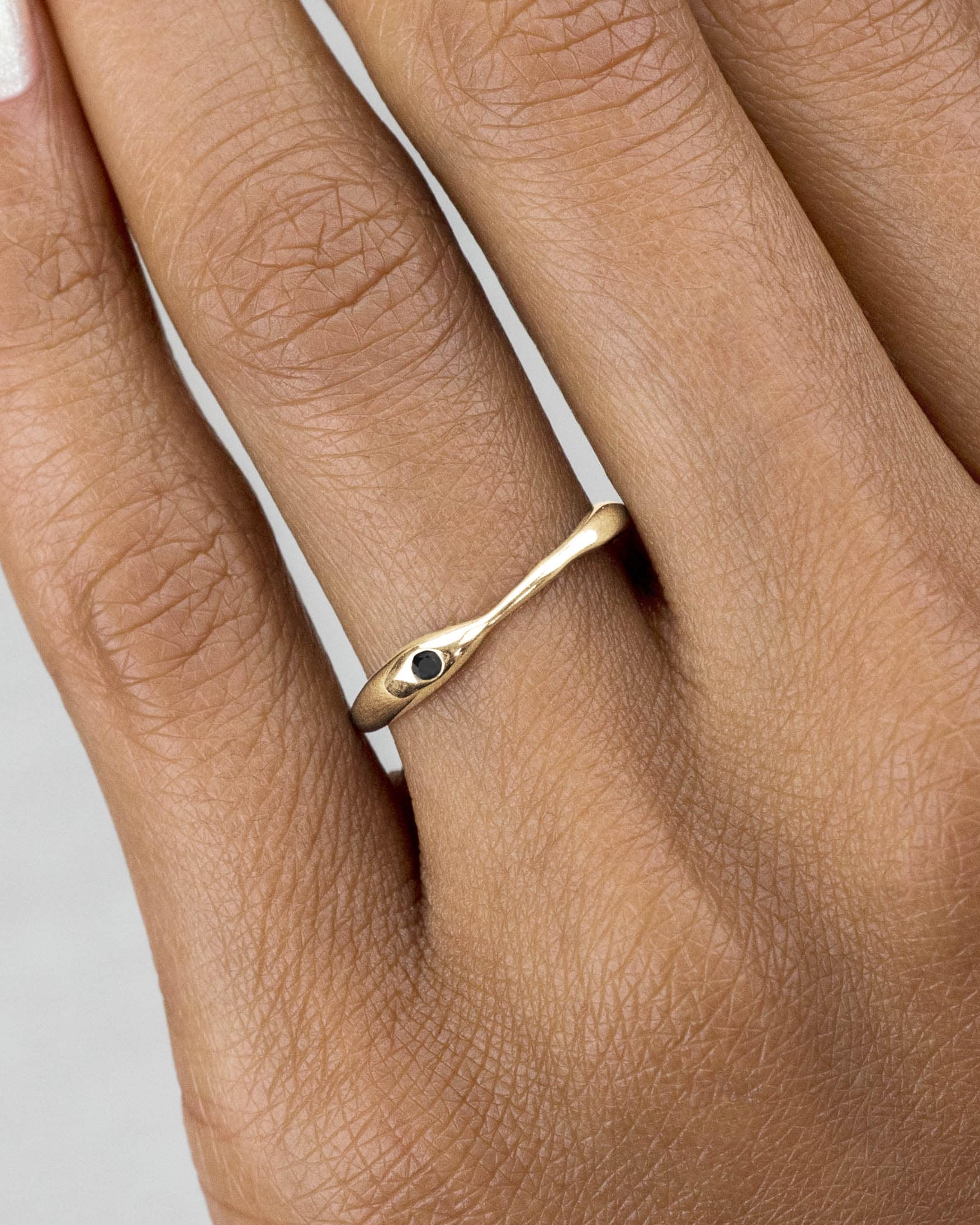 vibrant_on_fig_reticulated_one_black_diamond_band_1_alt_web_2_1.jpg
