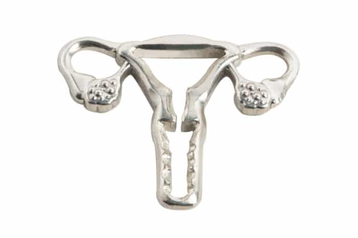 Bans Off Our Bodies Charm + Nikko Hoops - Image 2